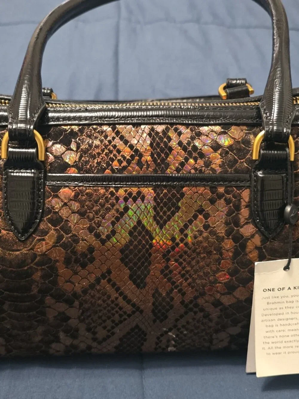 Brahmin Sophia Bronze Captivate East West Tote